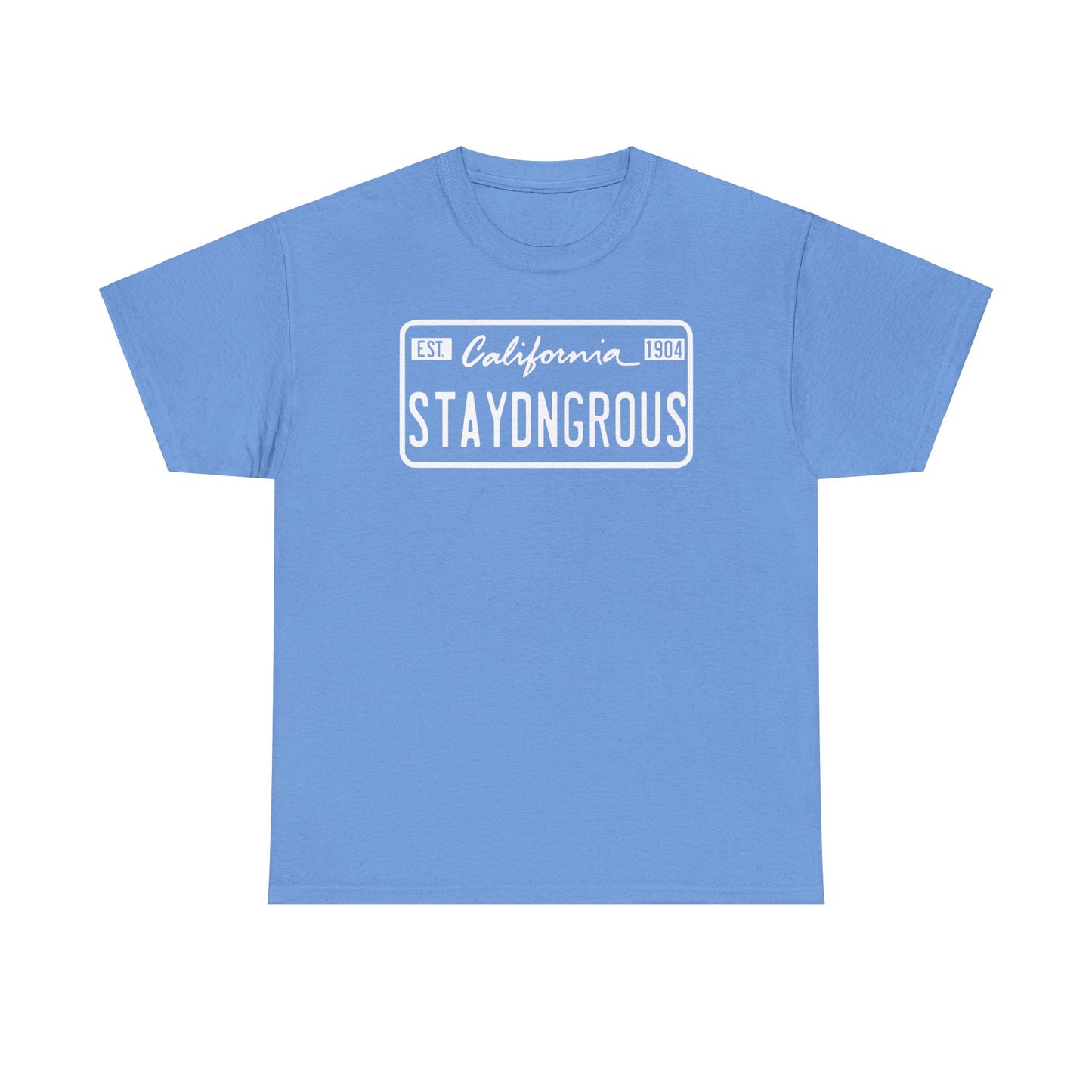 StayDangerous License plate Unisex Heavy Cotton Tee